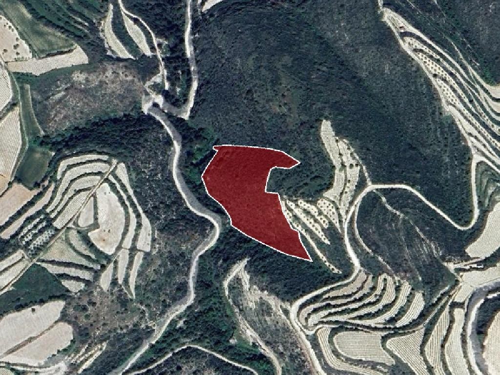 Field - Koili, Paphos