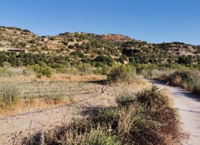 Choulou, Paphos Agricultural Field For Sale | WW27805