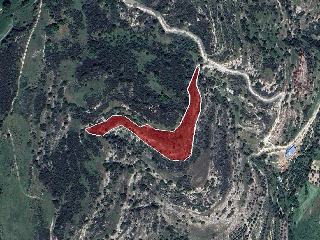 Field - Choulou, Paphos