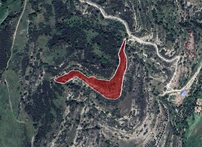 Choulou, Paphos Agricultural Field For Sale | WW27805