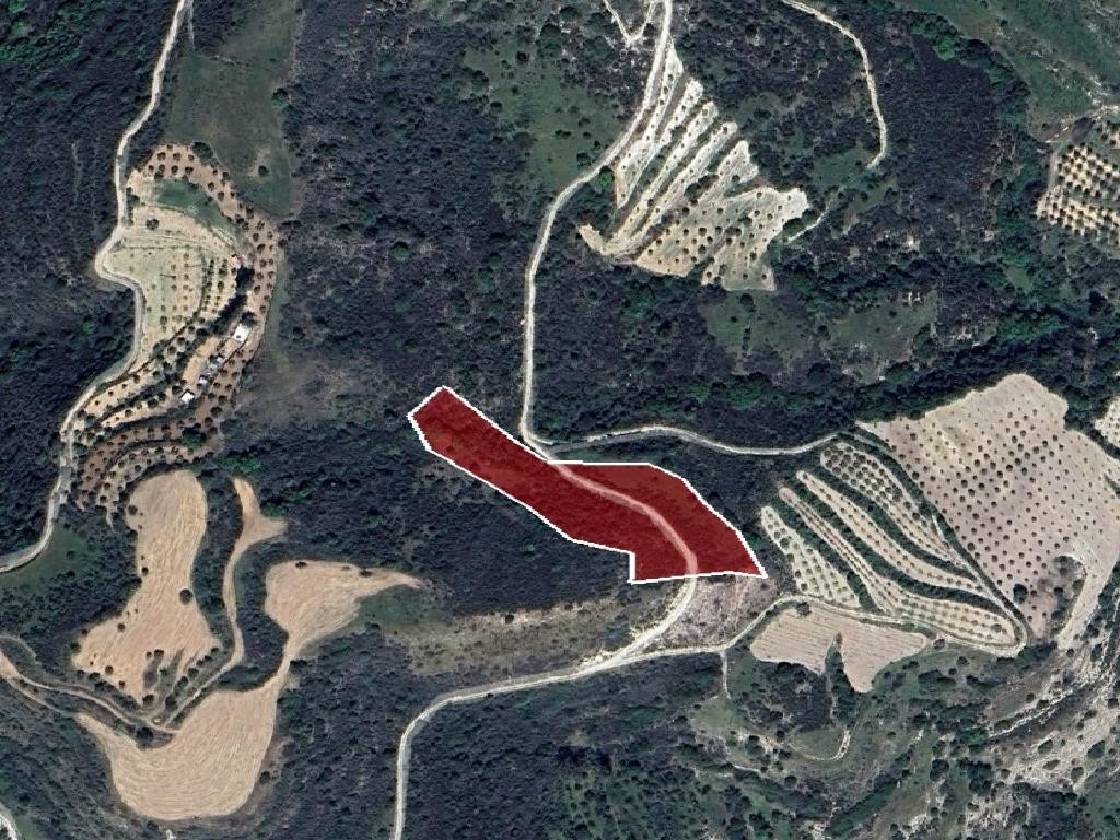 Field - Choulou, Paphos