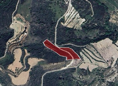 Choulou, Paphos Agricultural Field For Sale | WW27809