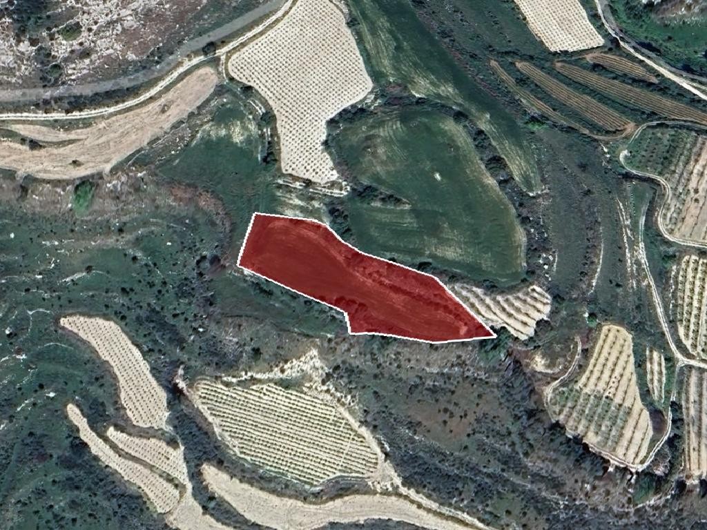 Field - Stroumpi, Paphos