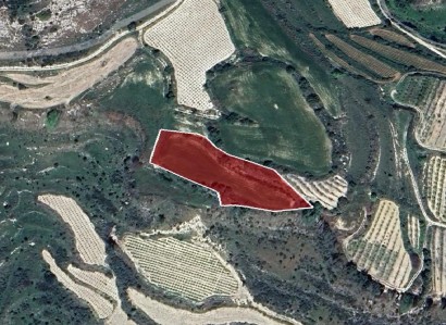 Stroumbi, Paphos Agricultural Field For Sale | WW27810