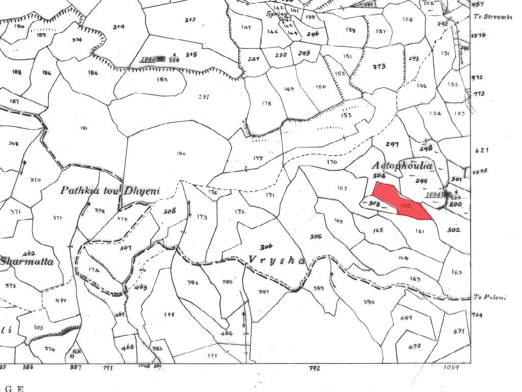 Field - Stroumpi, Paphos