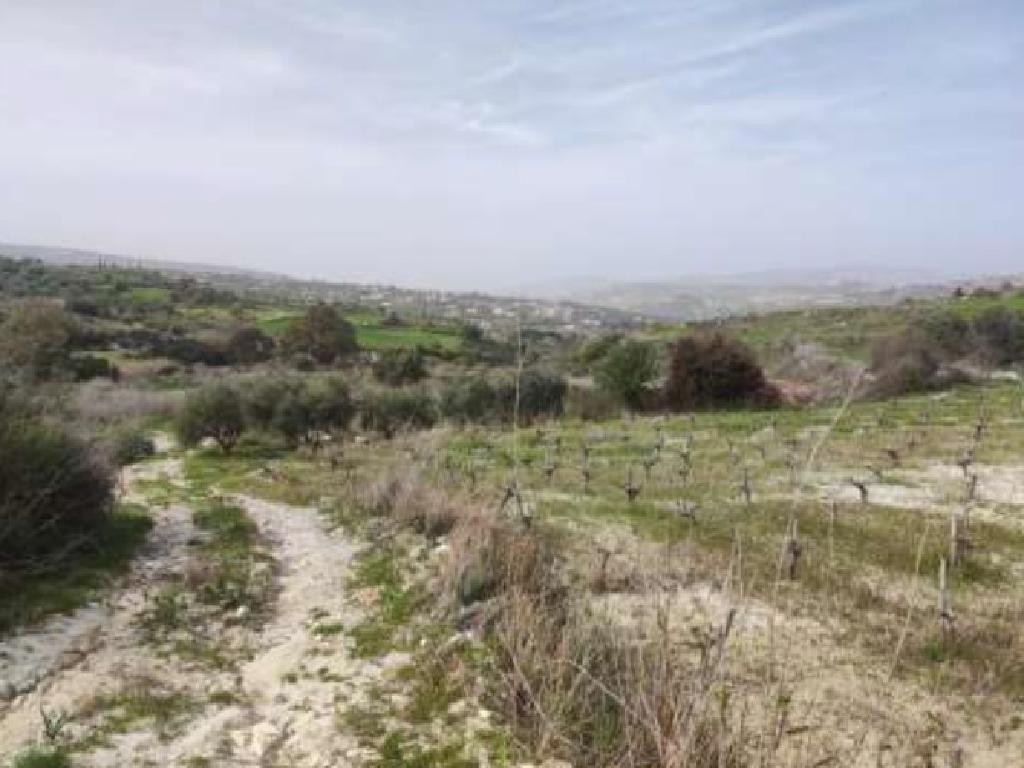 Stroumbi, Paphos Agricultural Field For Sale | WW27811