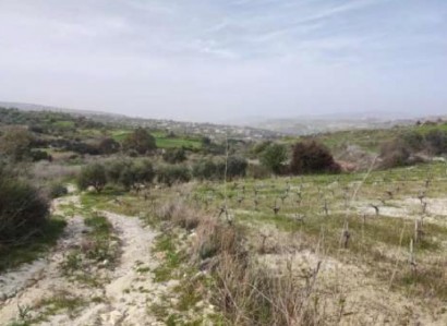 Stroumbi, Paphos Agricultural Field For Sale | WW27811