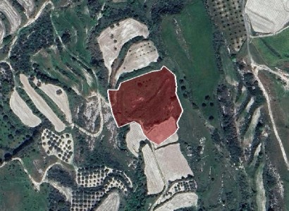 Stroumbi, Paphos Agricultural Field For Sale | WW27811
