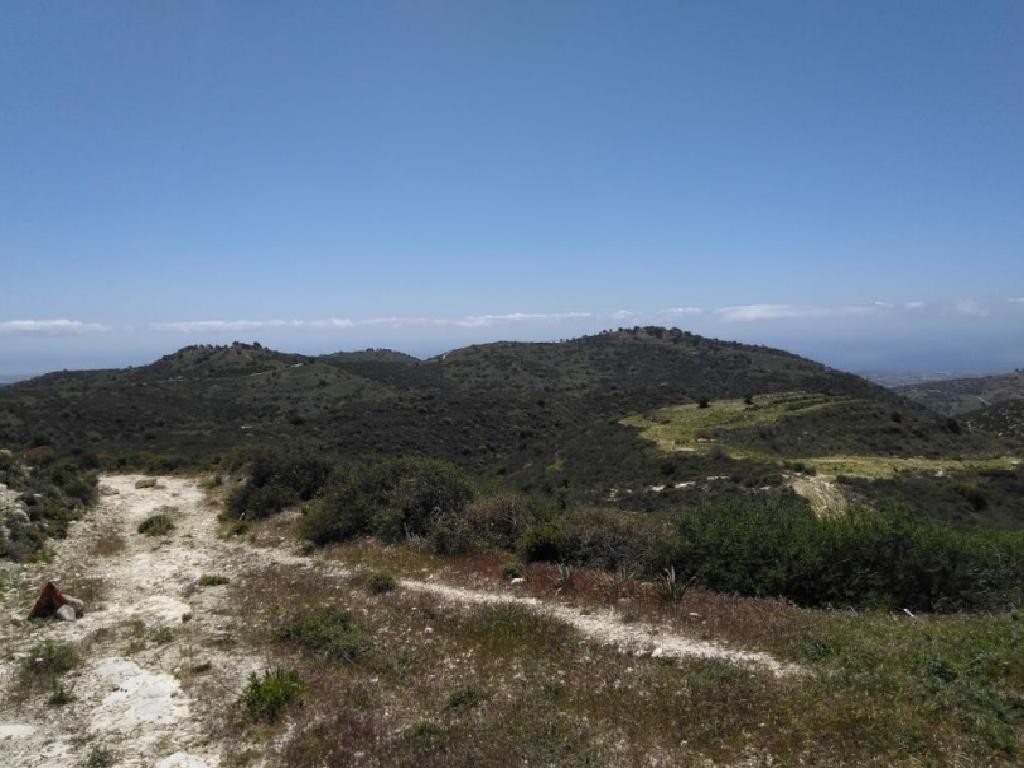 Akoursos, Paphos Agricultural Field For Sale | WW27819