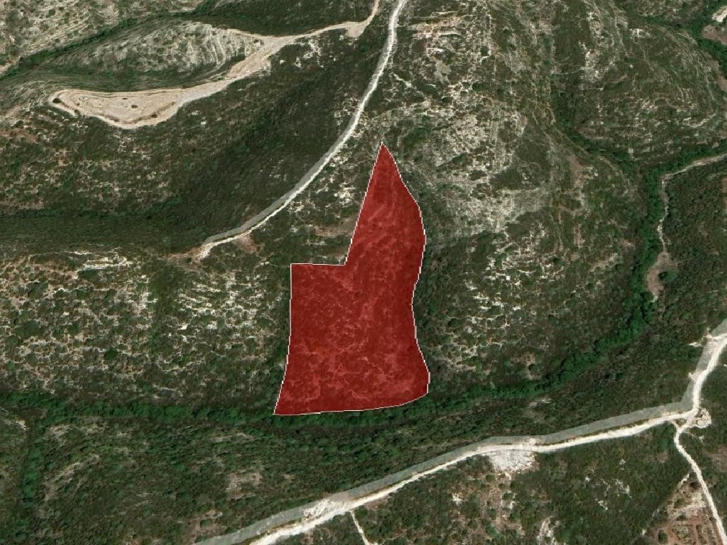 Field - Akoursos, Paphos