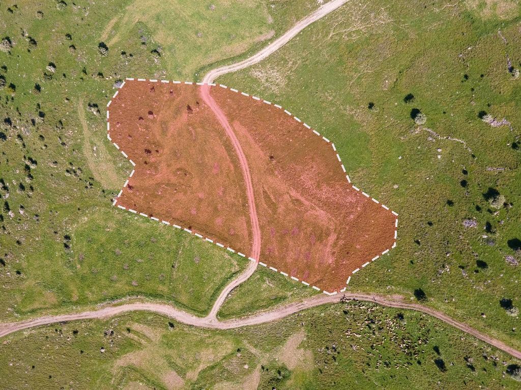 Field - Kelokedara, Paphos