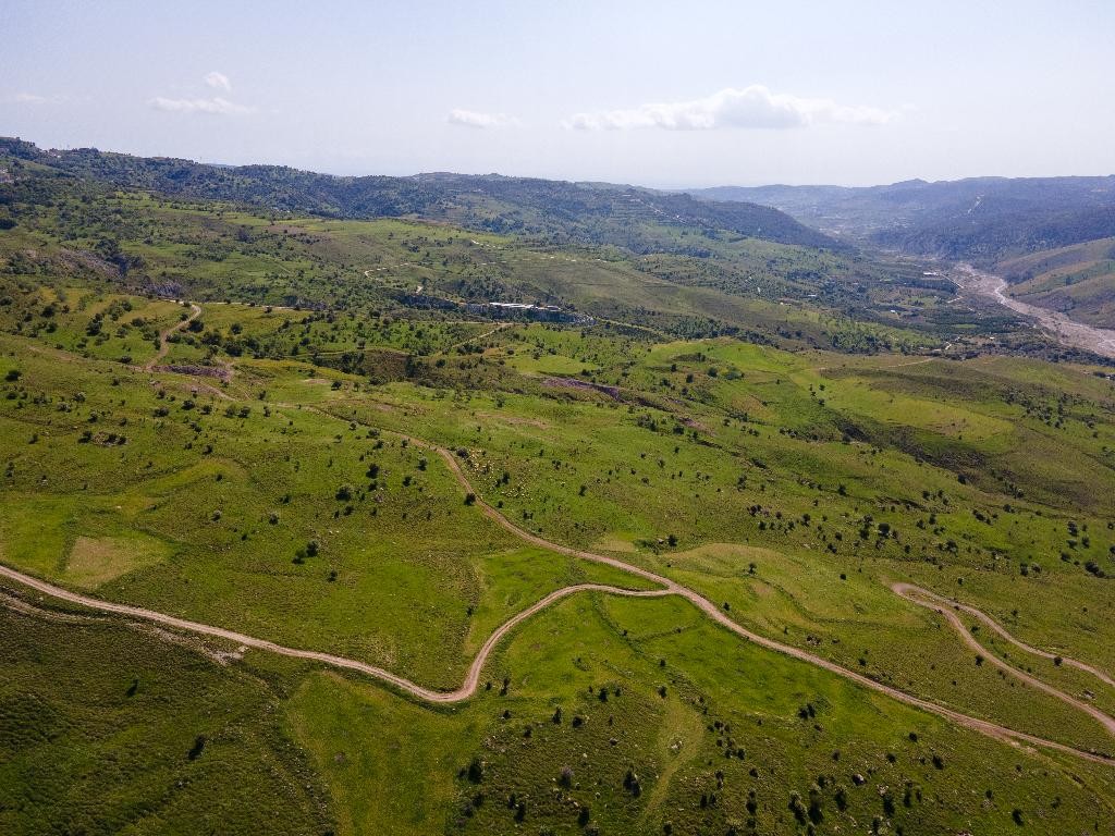 Field - Kelokedara, Paphos