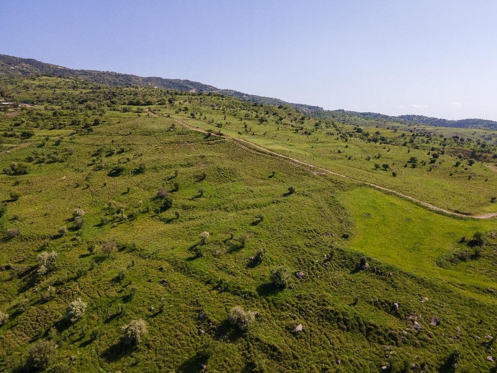 Field - Kelokedara, Paphos