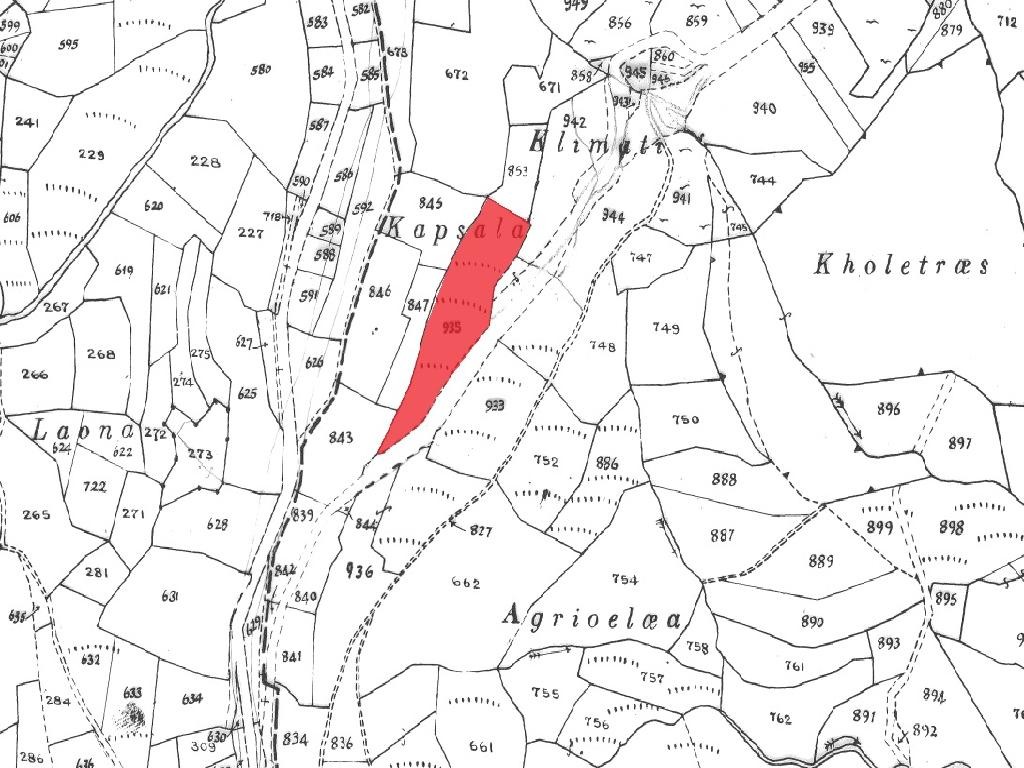 Field - Galataria, Paphos