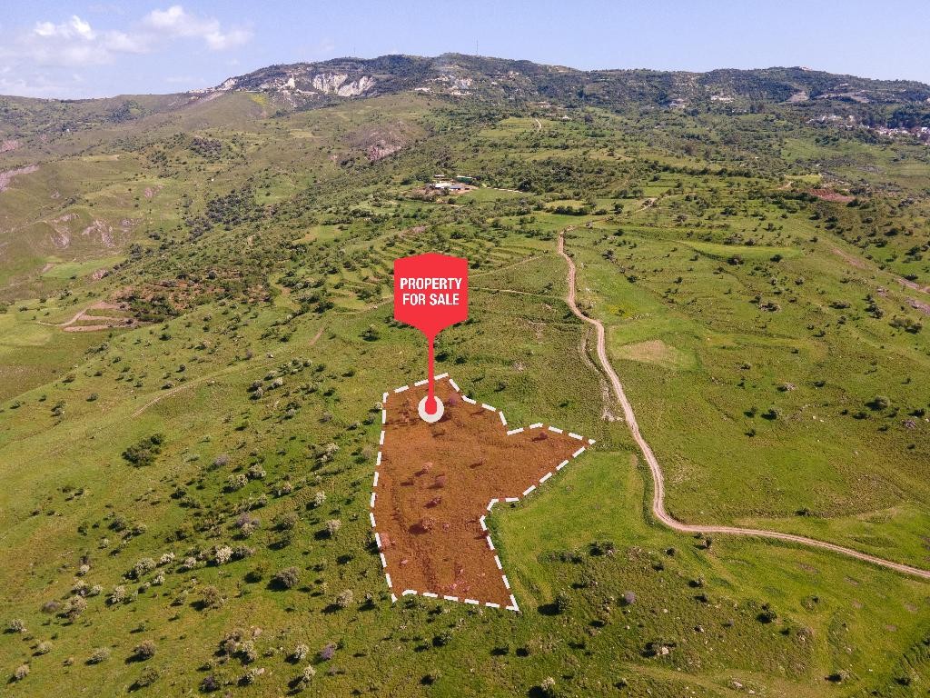 Kelokedara, Paphos Agricultural Field For Sale | WW27823