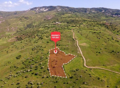 Kelokedara, Paphos Agricultural Field For Sale | WW27823