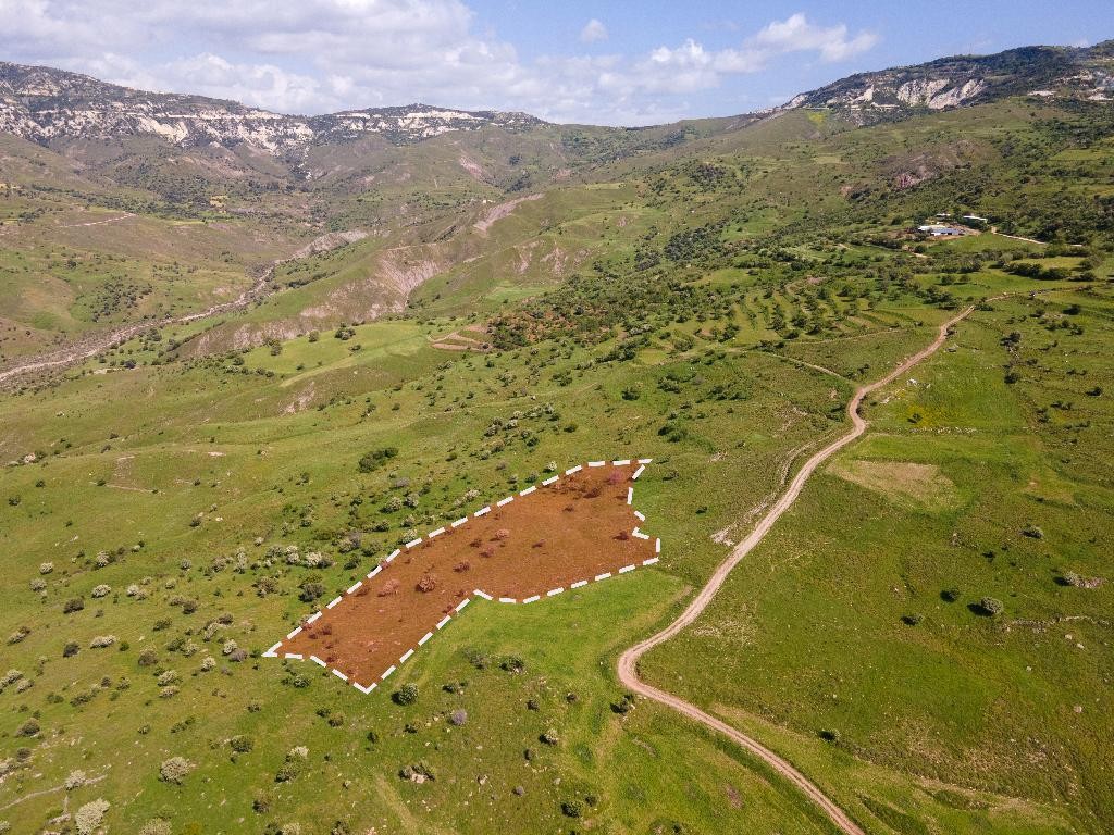 Field - Kelokedara, Paphos
