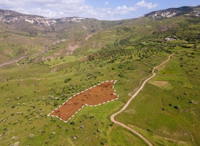 Kelokedara, Paphos Agricultural Field For Sale | WW27823