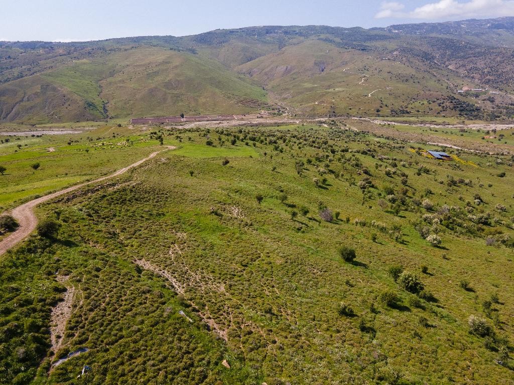 Field - Kelokedara, Paphos