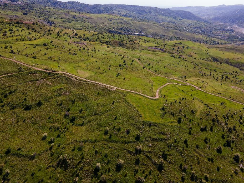 Field - Kelokedara, Paphos