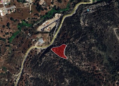 Akoursos, Paphos Agricultural Field For Sale | WW27824