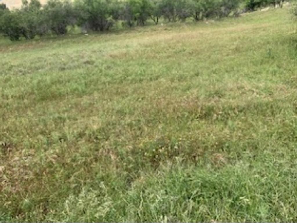 Field - Kelokedara, Paphos