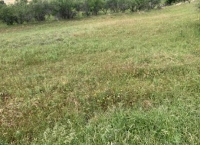 Kelokedara, Paphos Agricultural Field For Sale | WW27825