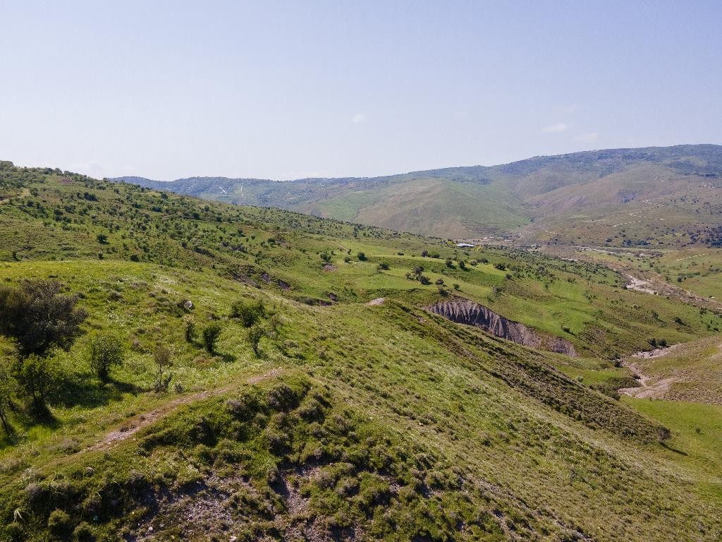 Field - Kelokedara, Paphos