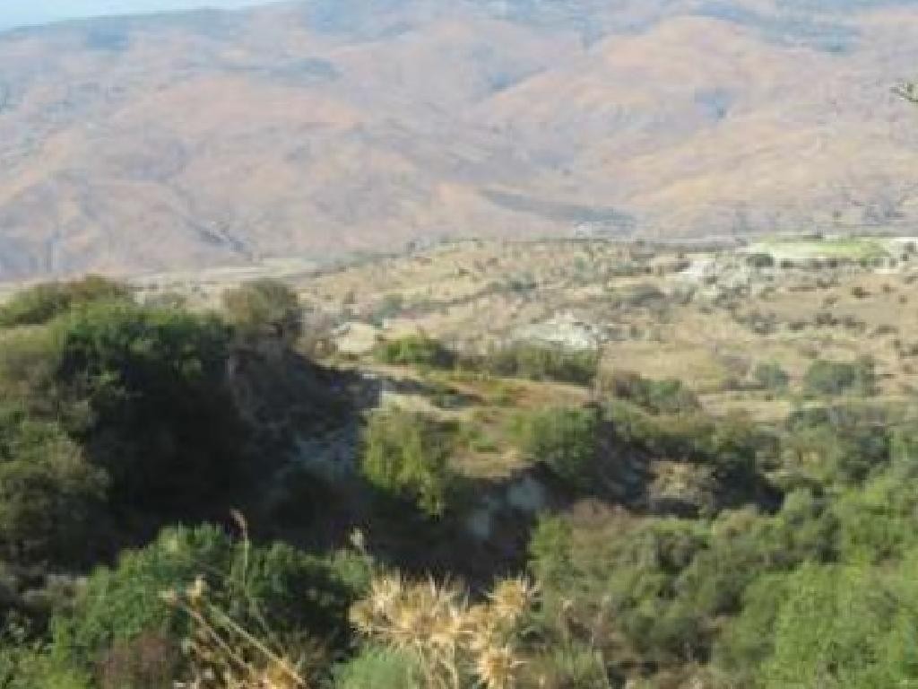 Kelokedara, Paphos Agricultural Field For Sale | WW27827