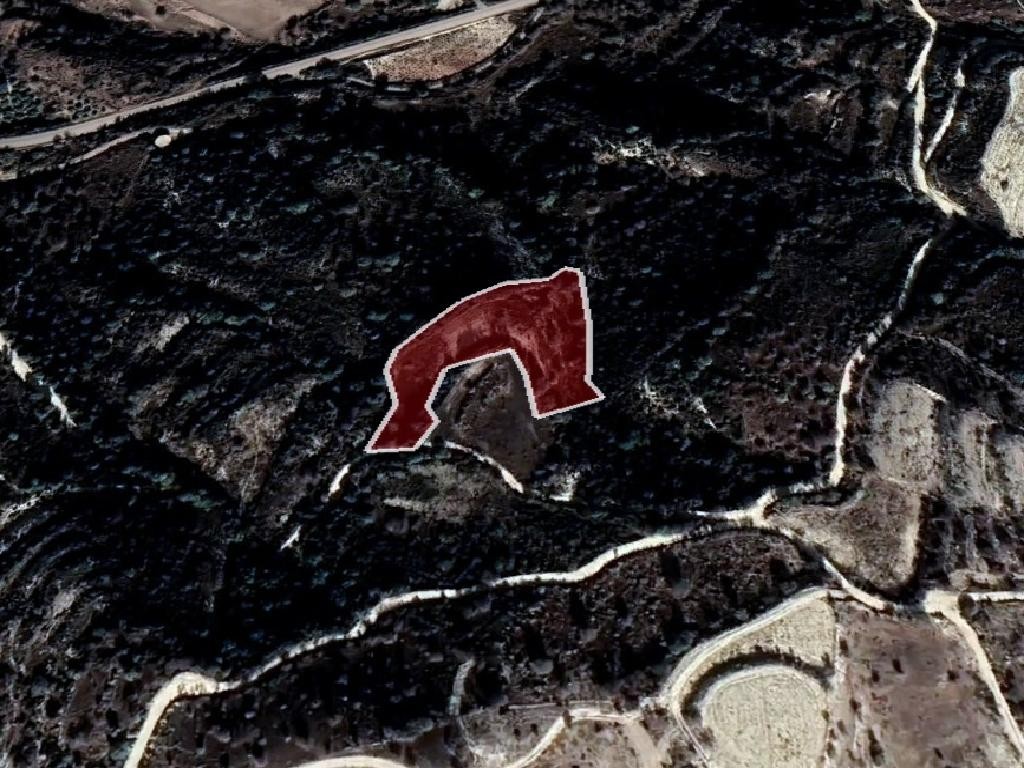 Field - Kelokedara, Paphos