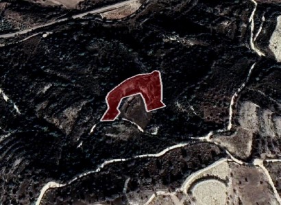 Kelokedara, Paphos Agricultural Field For Sale | WW27827