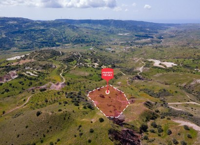 Trachypedoula, Paphos Agricultural Field For Sale | WW27828