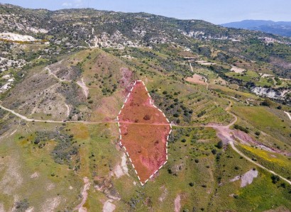 Trachypedoula, Paphos Agricultural Field For Sale | WW27828