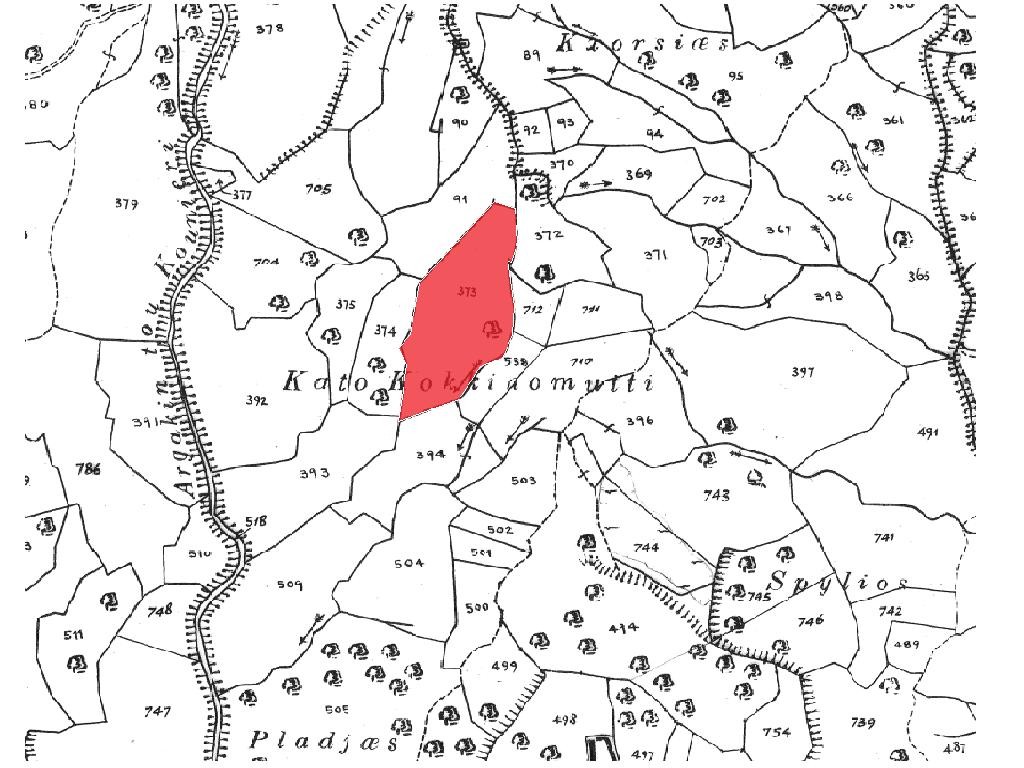 Field - Trachypedoula, Paphos