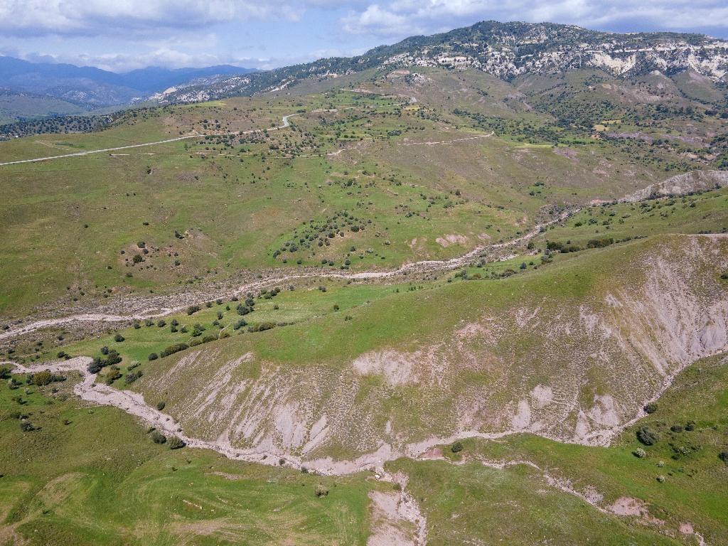 Field - Kelokedara, Paphos