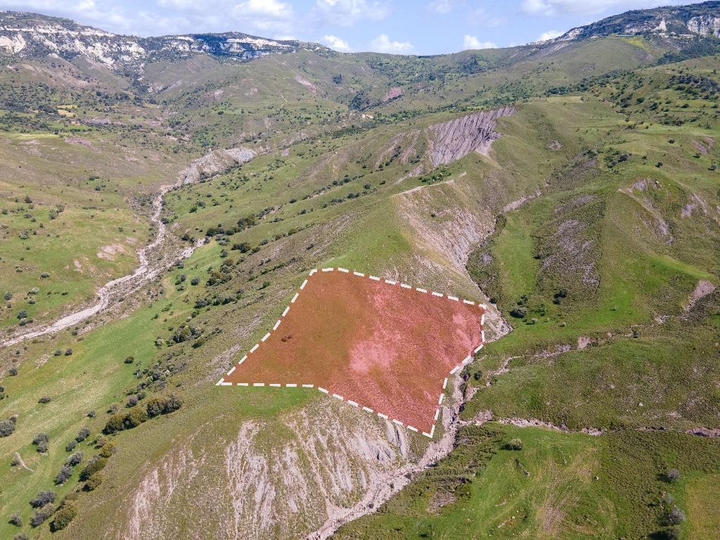 Field - Kelokedara, Paphos