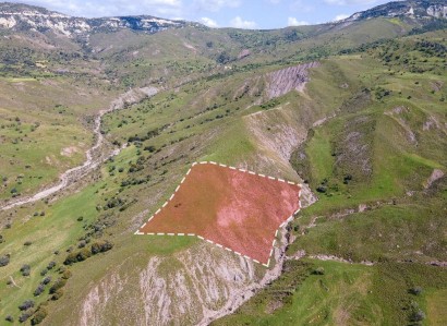 Kelokedara, Paphos Agricultural Field For Sale | WW27829