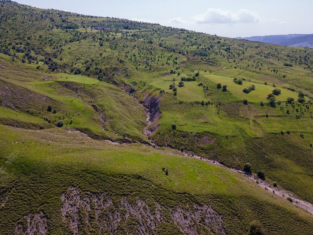 Field - Kelokedara, Paphos