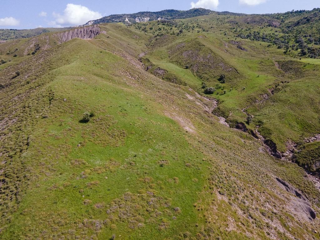 Field - Kelokedara, Paphos