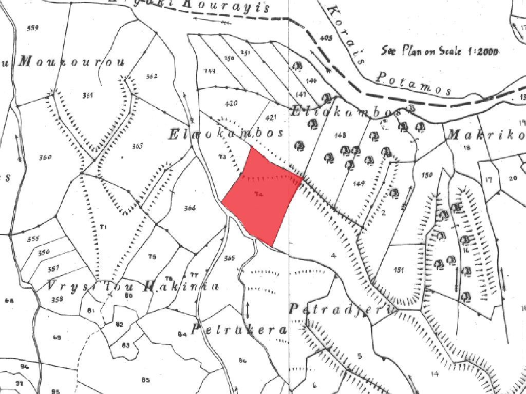 Field - Kelokedara, Paphos