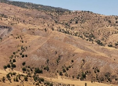 Kelokedara, Paphos Agricultural Field For Sale | WW27830