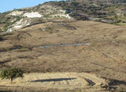 Galataria, Paphos Agricultural Field For Sale | WW27831