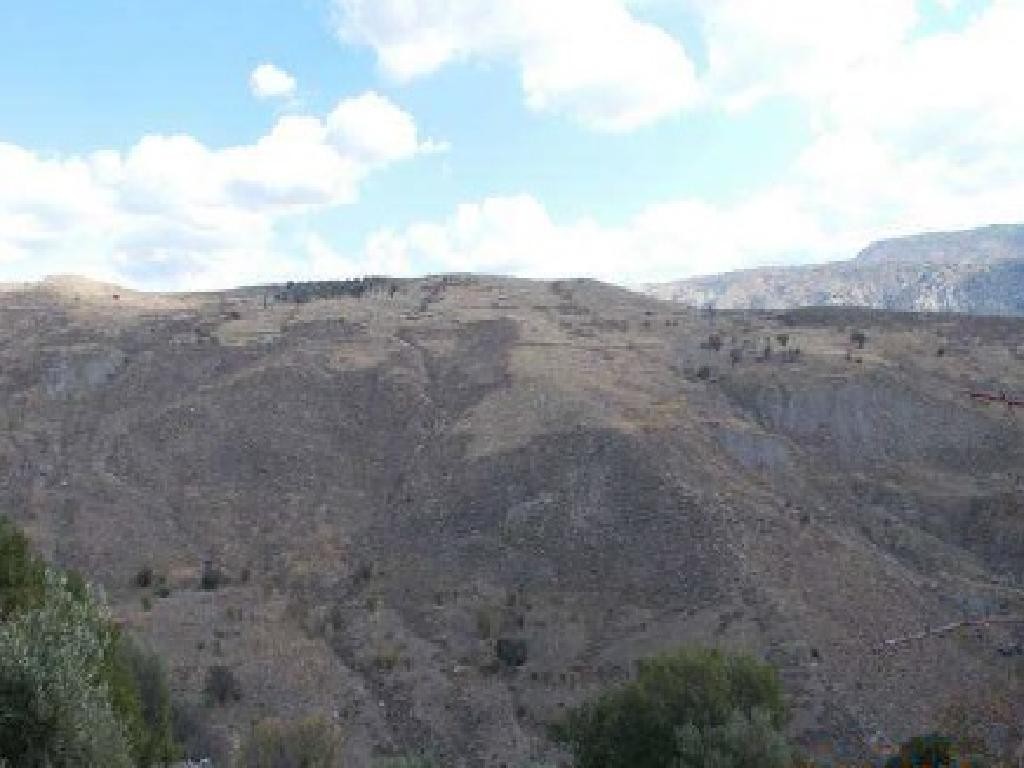 Field - Koilinia, Paphos