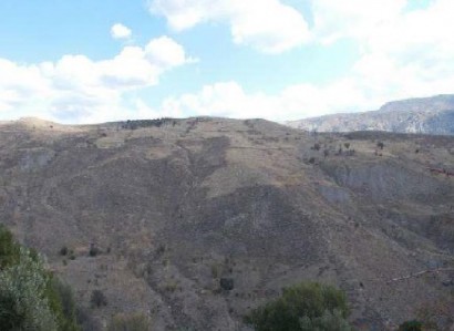 Koilineia, Paphos Agricultural Field For Sale | WW27832