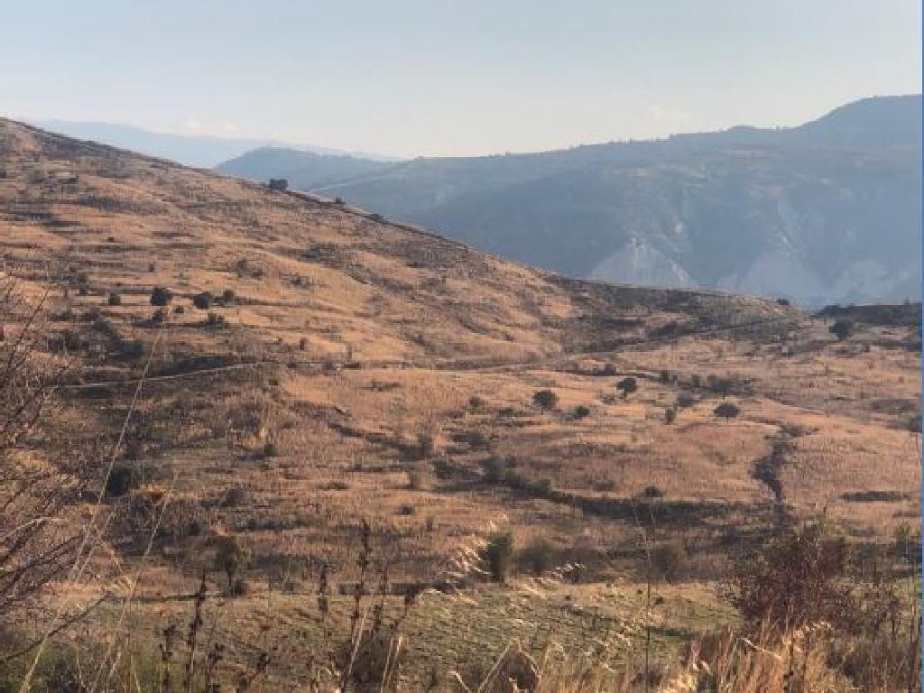 Koilineia, Paphos Agricultural Field For Sale | WW27833