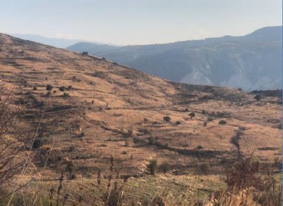 Koilineia, Paphos Agricultural Field For Sale | WW27833