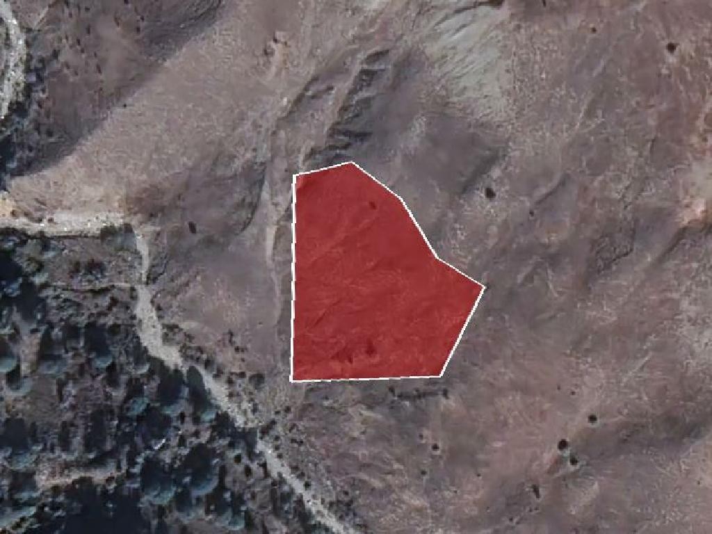 Field - Koilinia, Paphos