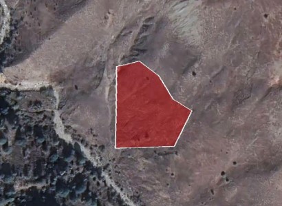 Koilineia, Paphos Agricultural Field For Sale | WW27833