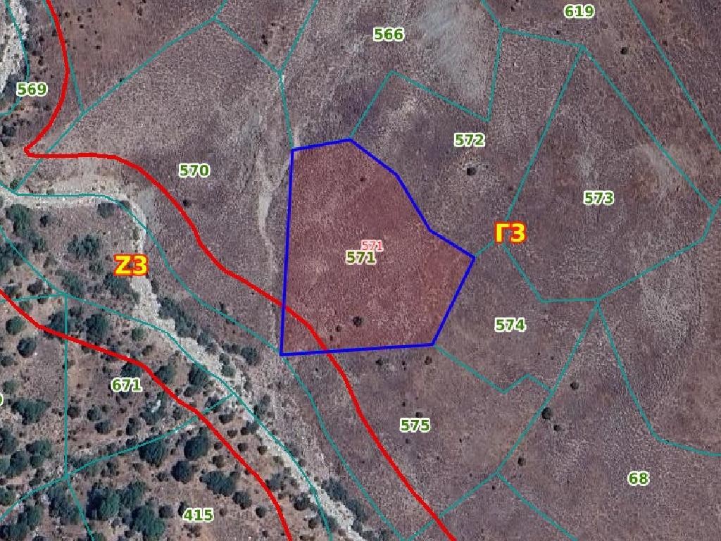 Field - Koilinia, Paphos