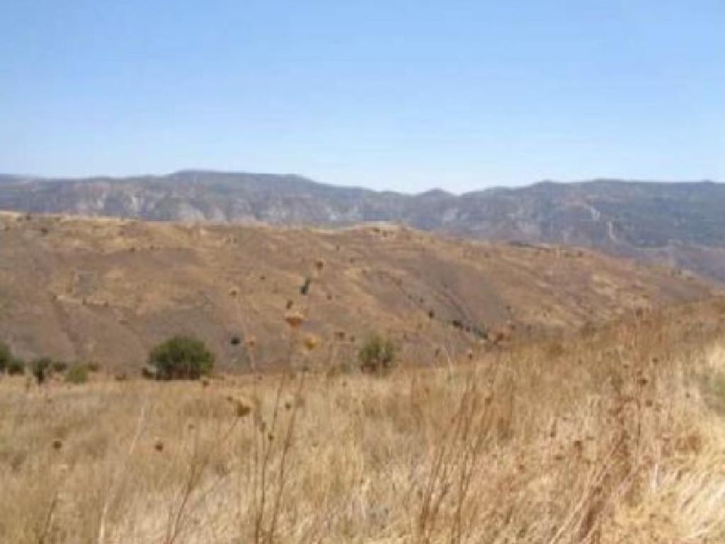 Galataria, Paphos Agricultural Field For Sale | WW27834